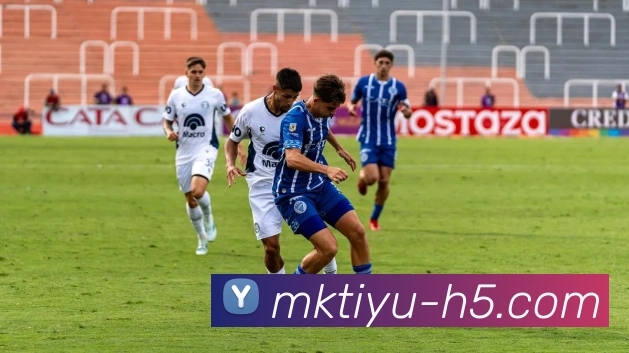 多媒体互动体验